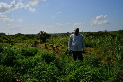 DSC_5187 (Large).JPG